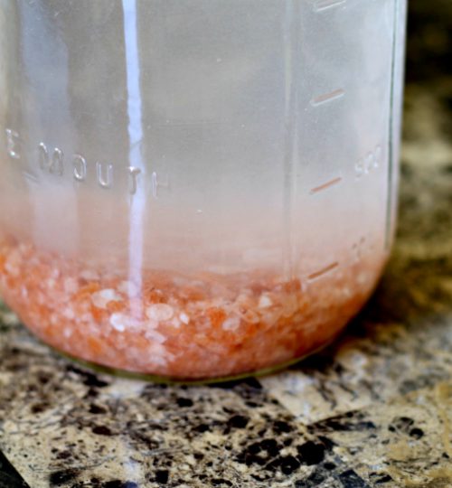 salt_water_sole_blog